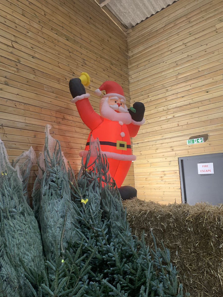 sharon collard tweet media