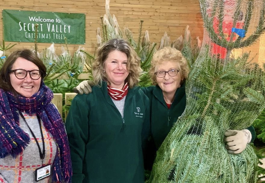 sharon collard tweet media