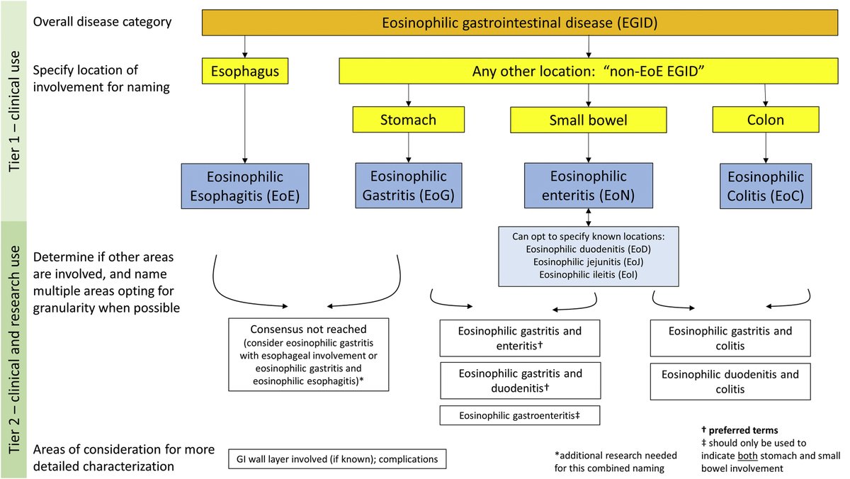 AGA_CGH's tweet photo. Study finds anti-TNF-α is superior to thiopurine prophylaxis for the prevention of endoscopic and clinical postoperative CD recurrence after ileocolonic resection https://t.co/tdf5KFaYzX https://t.co/FbsIqgofDp