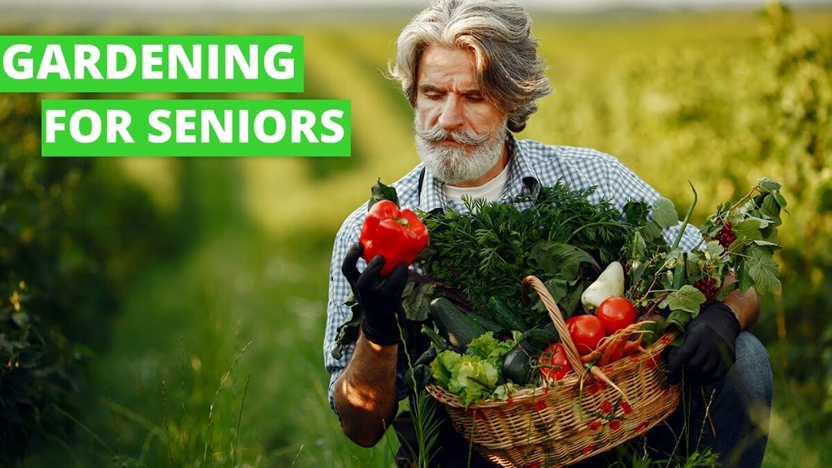 HeartScopeCare's tweet photo. Hello there,

Welcome to Scope-Care!!!

Benefits of Gardening for Seniors

To know more about this please visit our YouTube channel: https://t.co/I9YWz6dZlY

Visit our website: https://t.co/YEYwfoIE9D

#hearthealth #health #heart #healthylifestyle #healthy #heartdisease https://t.co/c4U9oTVWAX