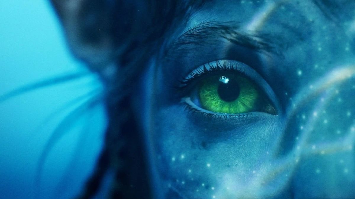 notalanota1's tweet photo. Los grandes estrenos en cines para despedir el año 🍿🎥 

#cine #Avatar2 #Estreno #ElMenu #NocheSinPaz

https://t.co/s32WQAtClU https://t.co/TtVpTPoouk