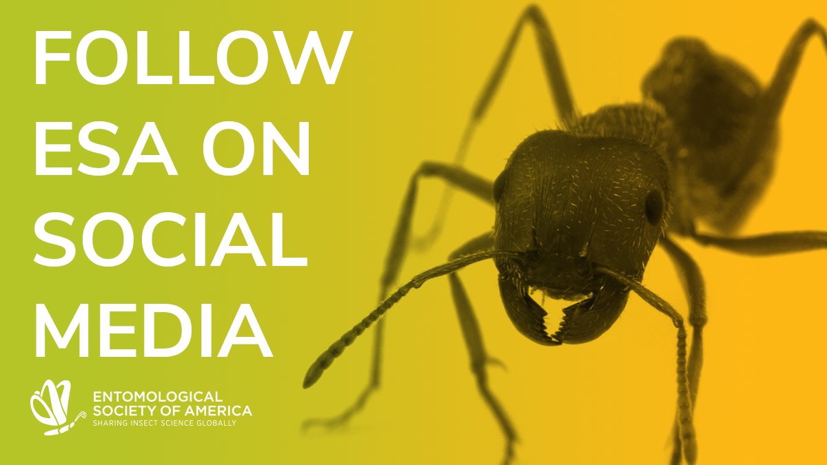 Now seems like a great time to make sure our Twitter followers know where else to find @EntsocAmerica on social media and the web. Click through on the thread below to like, follow, and bookmark ESA on these other platforms. 🧵