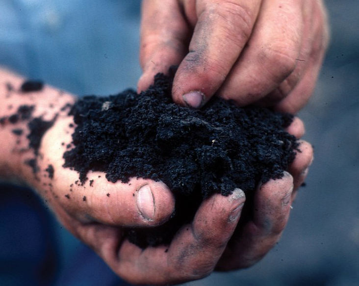 Happy #WorldSoilDay! Every bite of food and sip of water depends on soil. Keep it healthy. bit.ly/3B4BXp9