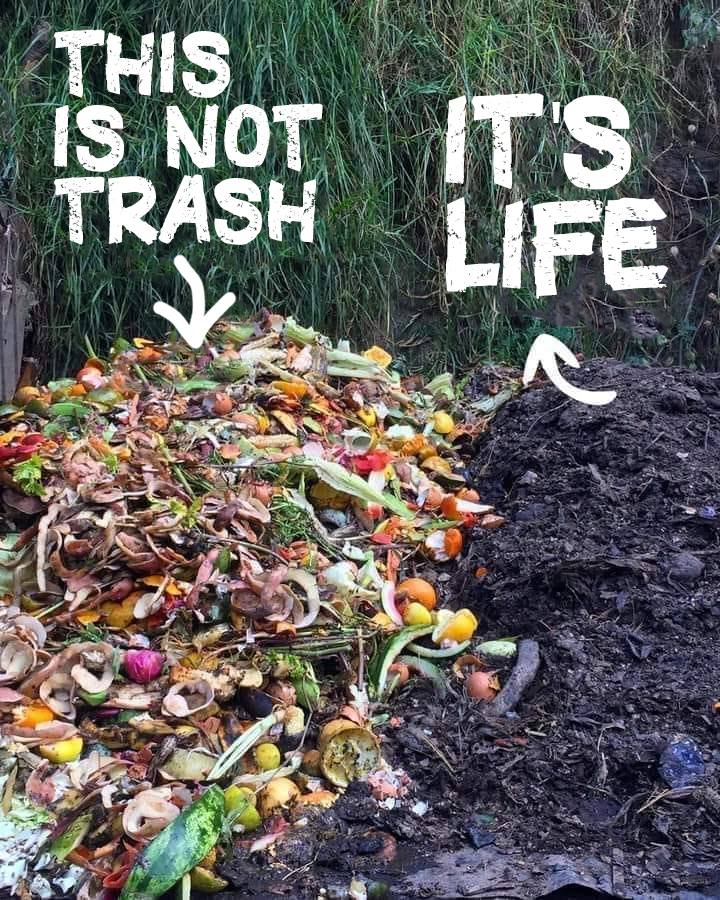 green4EMA's tweet photo. Today is #WorldSoilDay! Healthy soil = a healthy planet. One thing you can do to contribute to soil health is to compost your food scraps. 

Graphic via Leaf of Life. #SaveSoil #Soil @rosariodawson https://t.co/pls6SIBIQs