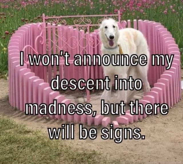 SydDivineTarot's tweet photo. mercury retrograde loading https://t.co/gnl2W0zm7N