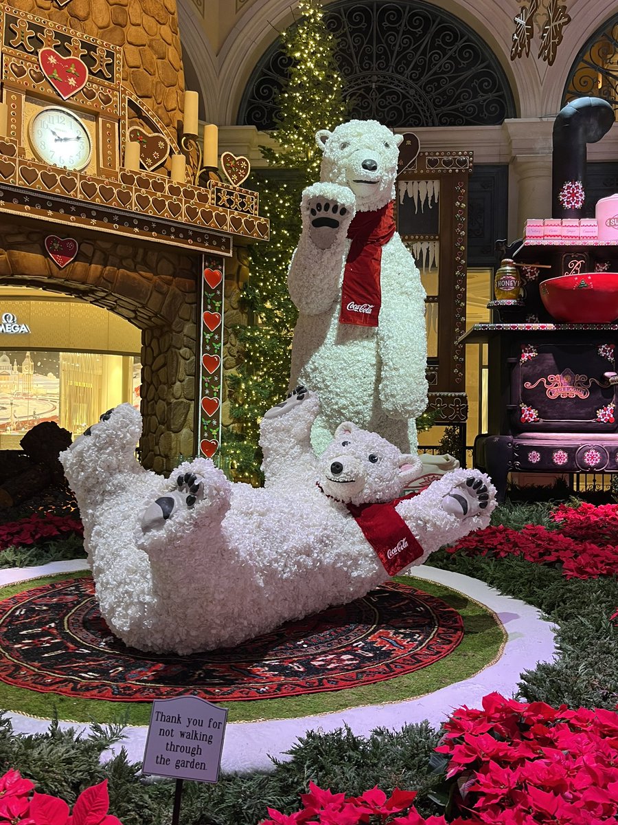 Ms. Elizabeth Holtry tweet media