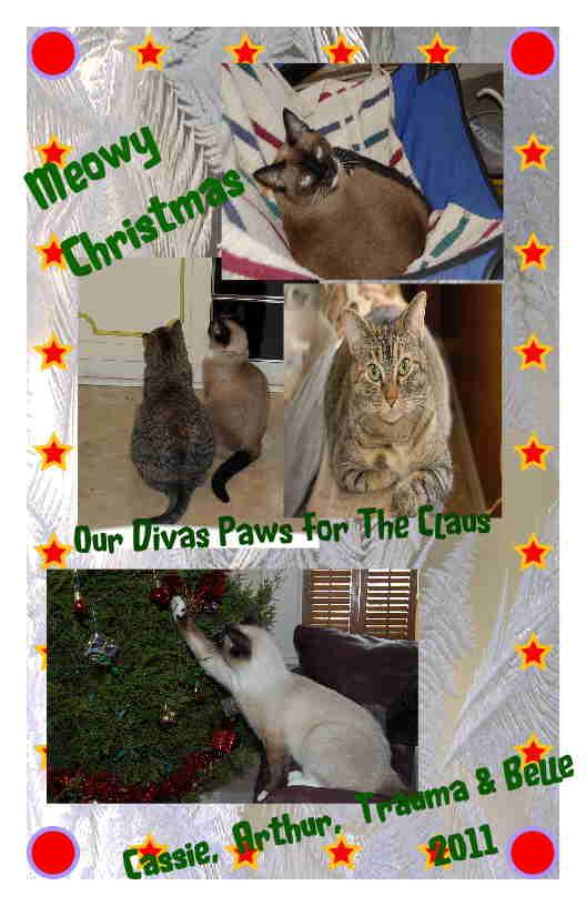 CassieJFox's tweet photo. #MondayMemories  A throwback Cat Card from 2011. Was a physical mailing card. #KittyLoafMonday #SiameseCats #MondayMeow #TabbyCats #Purrents #PurrentLife #MeowyCatmas #TheSouthernBelleFelines https://t.co/cFeUWuLYld