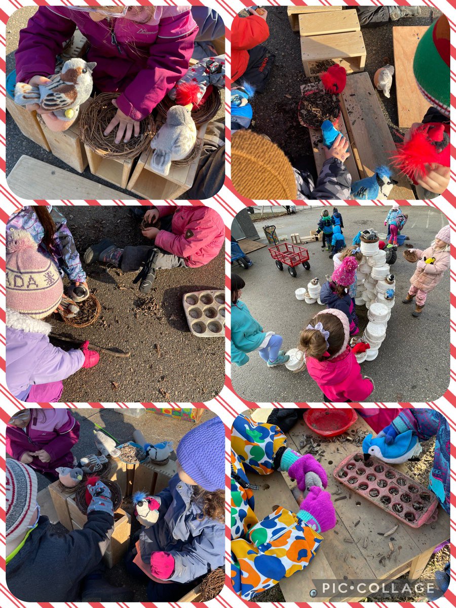 Kaitlyn Cunningham tweet media