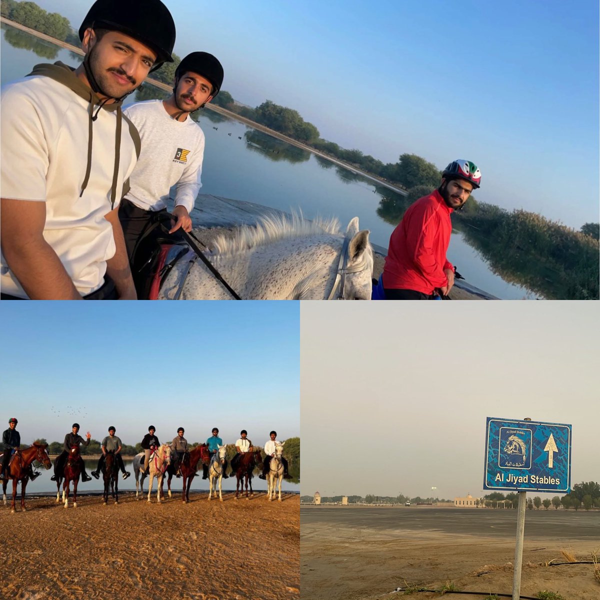 km_al7ammadi's tweet photo. 🐎❤️ https://t.co/SuNyHGHsJB