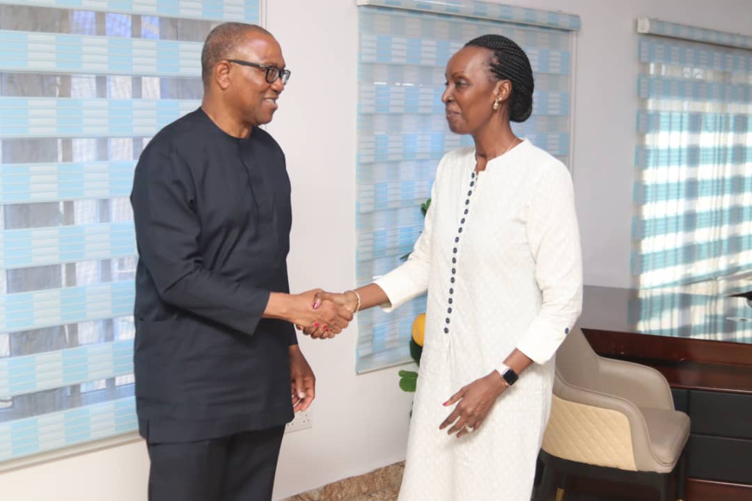 PeterObi's tweet photo. Earlier today, I received Giovanie Biha, Deputy Special Representative of the United Nations Secretary-General and the UNOWAS delegation. We exchanged views on national, regional and global issues. -PO https://t.co/wCt8WXSxUd