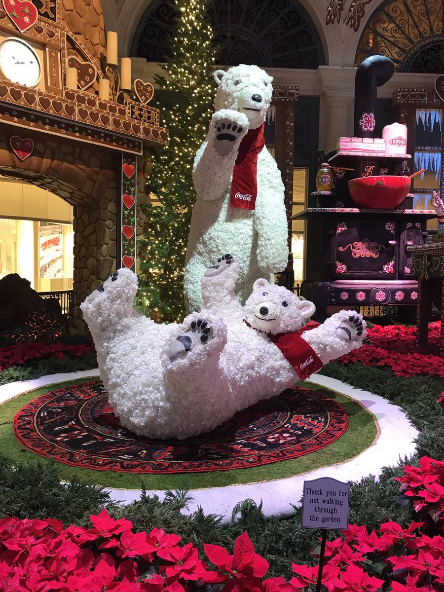 Grace Shawver tweet media