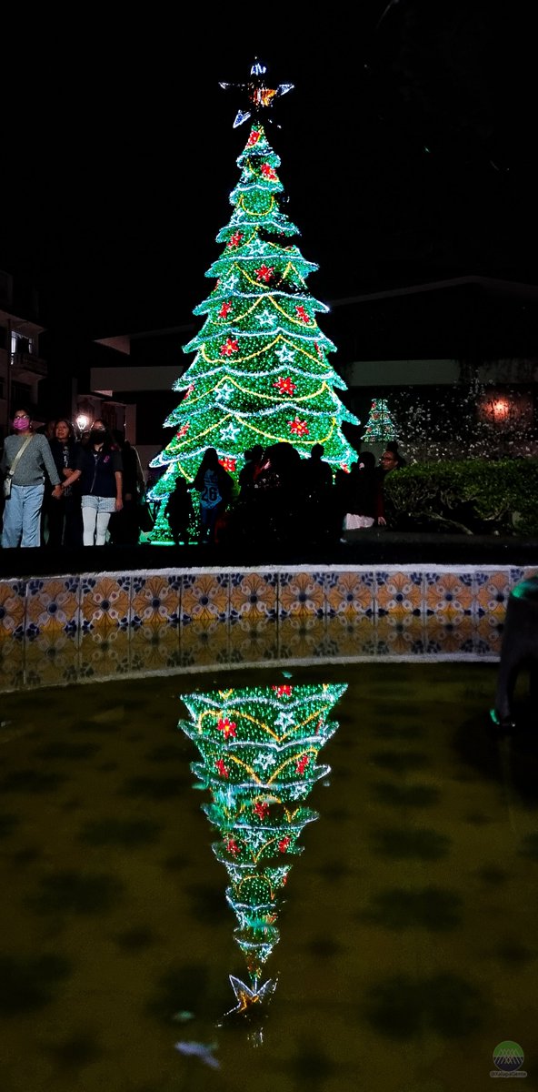 XalapaGente's tweet photo. Parque Juárez (2022)
#Xalapa #ProtectorDePantalla
🎄🎁 https://t.co/jEAfrZow1v