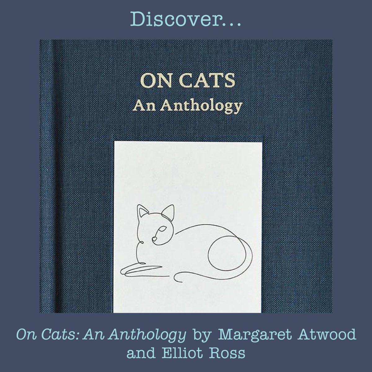 Ptownbookshop's tweet photo. "Atlas of Dogs" by Lonely Planet Kids

"On Cats: An Anthology" by Margaret Atwood and Elliot Ross  

"Dune Shacks of Provincetown" by Jane Paradise

"Cinema Speculation" by Quentin Tarantino https://t.co/WLEkxlgme5