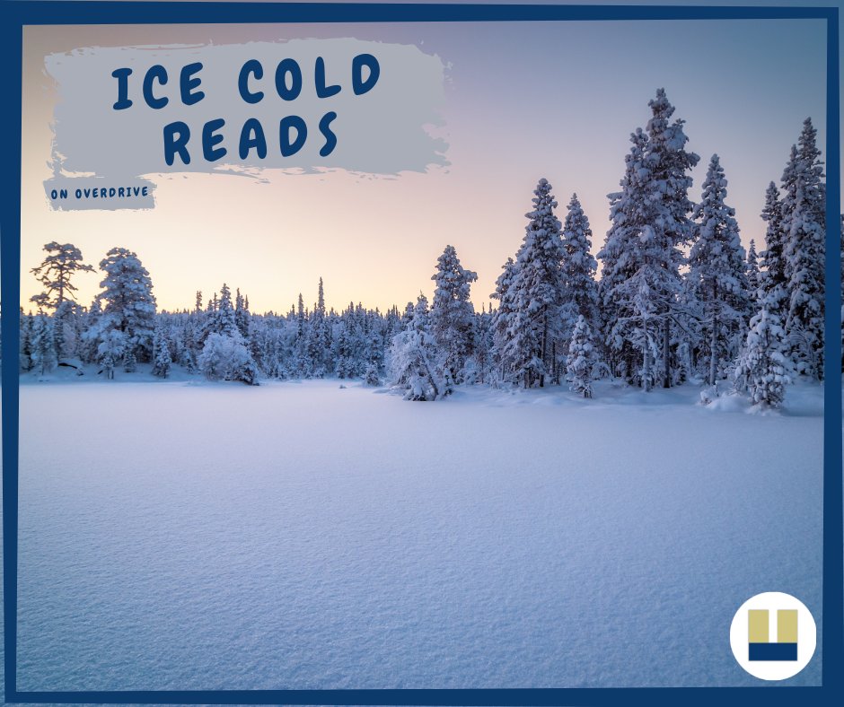 Menands Public Library tweet media