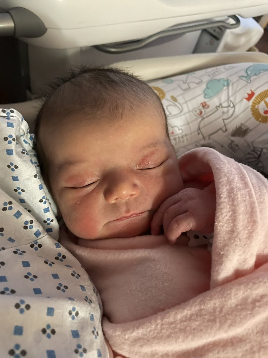 Baby Momma L E X ❥ tweet media