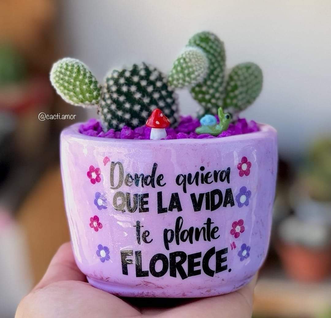 Paulina Anastacio flores (@paolaanastacio4) on Twitter photo 