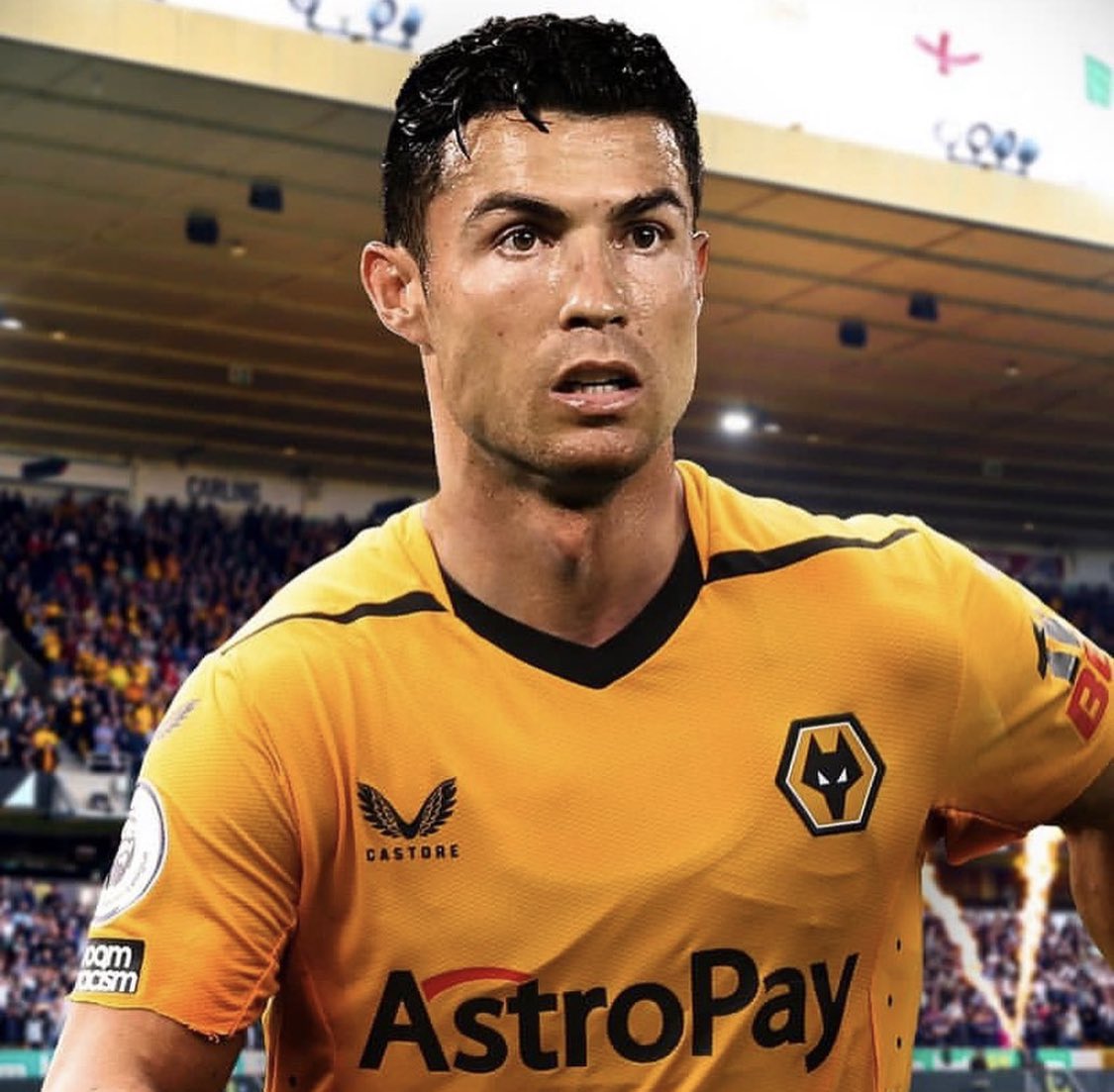 WolvesPuebla's tweet image. 