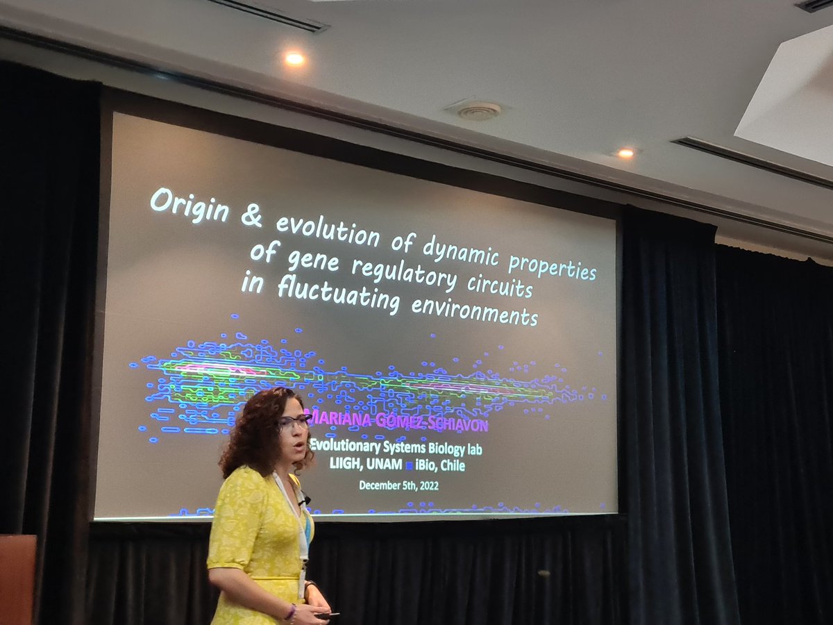 daniela_oaks's tweet image. We continue #Day3 with a talk by @mgschiavon of how and why gene regulatory circuits emerge and evolve and how they behave in fluctuating environments #emergentproperties (of course with super beautiful slides as usual!) #HorizonsInGenomics2022