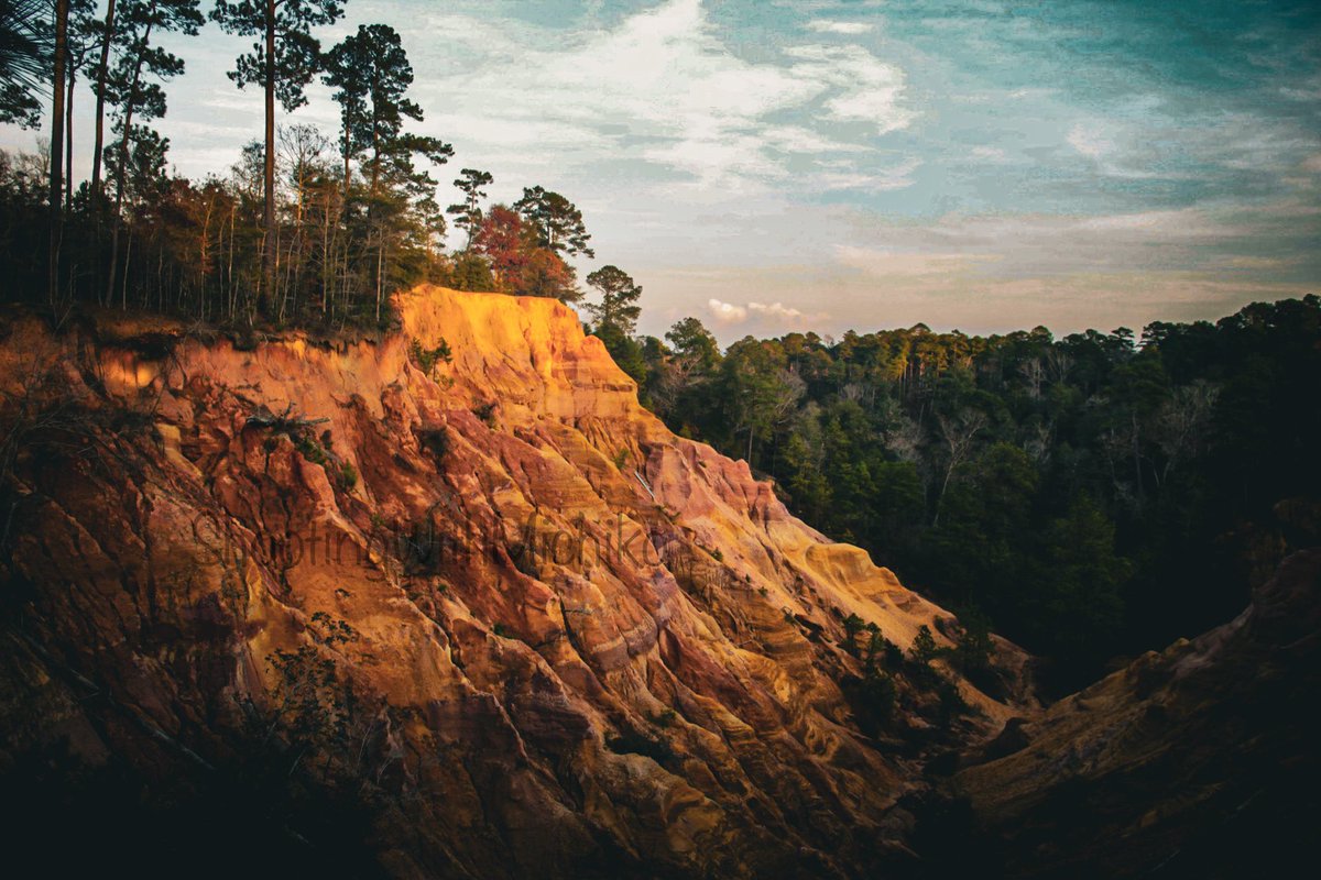 chikosFlix's tweet photo. @iTheFelizer @madebygoogle @photography @kc_native_photo @L0stinF0cus @explographe @JeriLile @RVGowtham1 @VisualsbySauter @NatGeoPhotos @GooglePixelFC https://t.co/KeYompk369