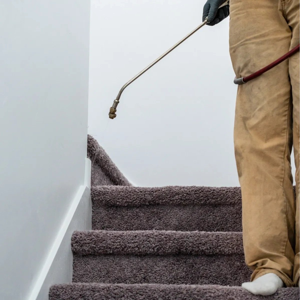 Gmanpestcontrol's tweet image. #GManPestControl is here to offer peace of mind that you can trust. We don&apos;t cut corners -- we treat them.