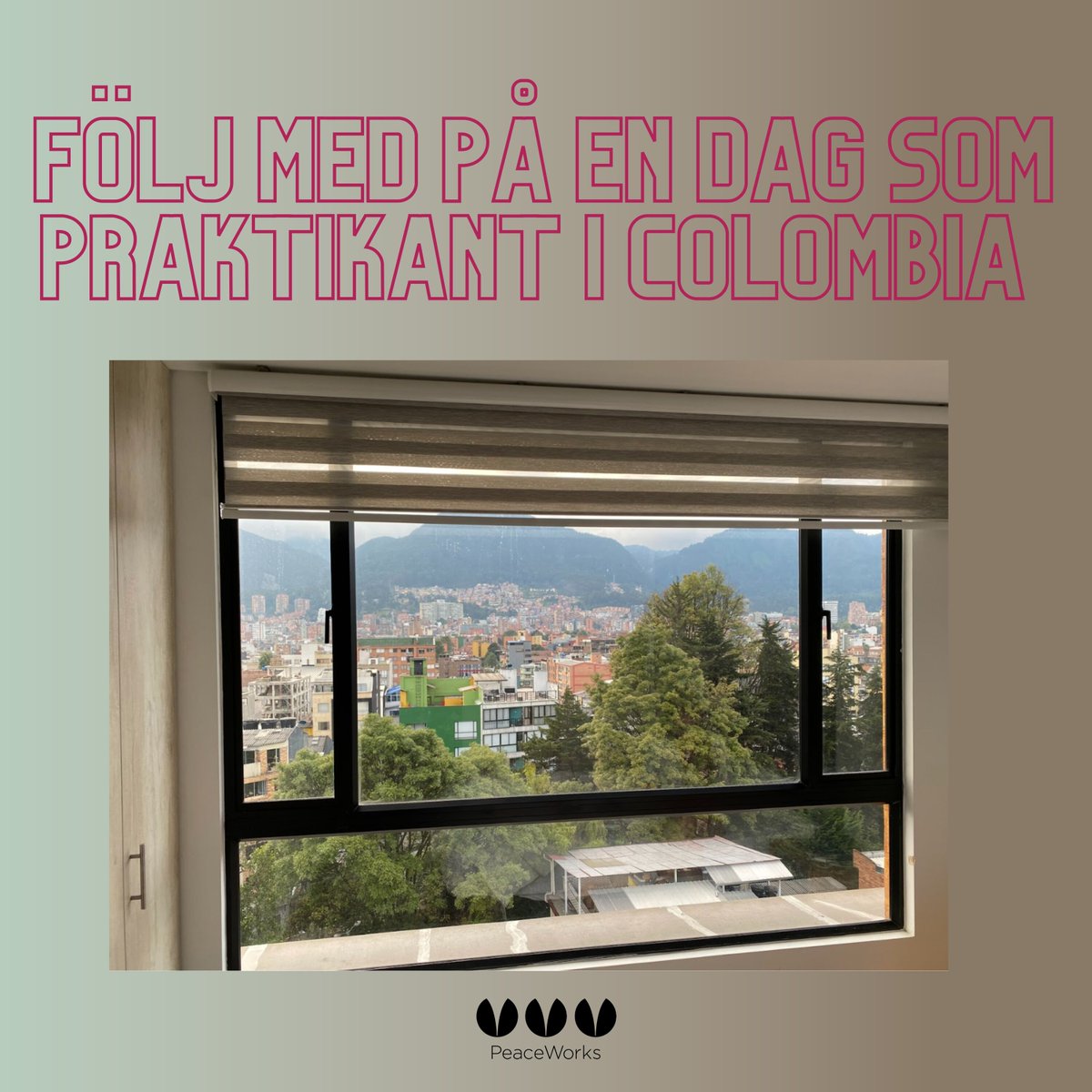 PeaceWorks_swe's tweet photo. Följ med på en dag som praktikant i Colombia!

Är du nyfiken på hur en dag egentligen kan se ut som praktikant på en av våra partnerorganisationer? På @laotrajuventud kan du jobba med unga, fred och media, men hur? Läs om en av Carolines dagar, här: https://t.co/rLwqyiac02 https://t.co/BDQpx8fXfU