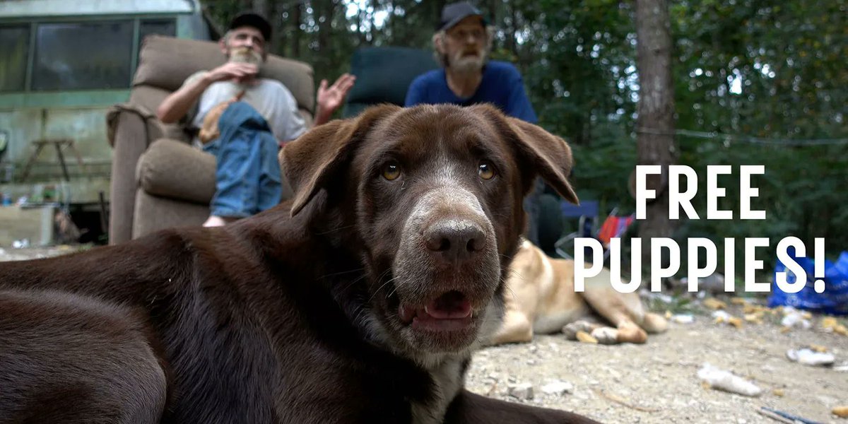 Screen Rant presents an exclusive clip from #FreePuppies, a new documentary about the rescue efforts to re-home and spay-and-neuter the sweetest dogs you've ever seen: buff.ly/3unxugo