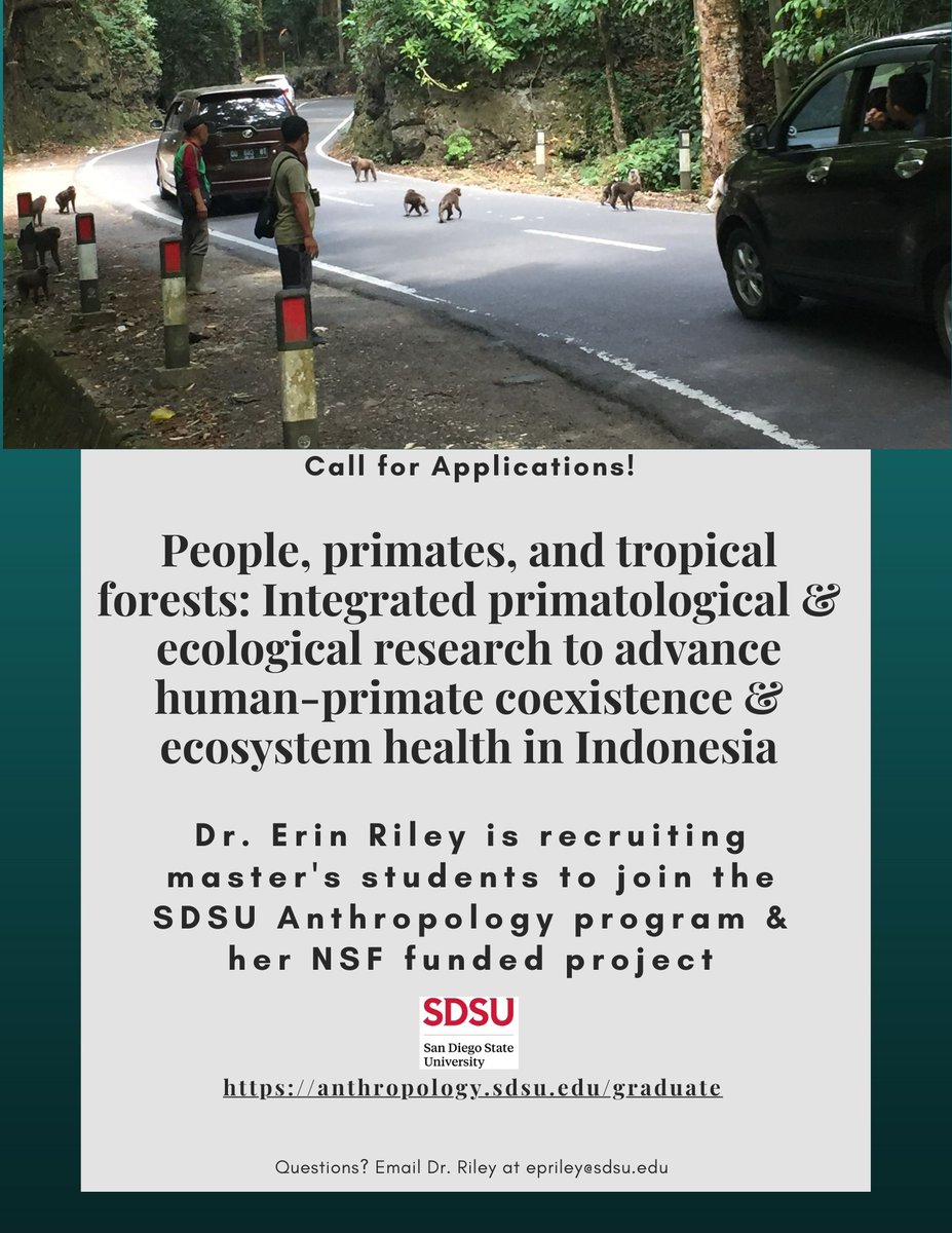I am recruiting master's students to join my #NSF funded project on the human-macaque interface in #Sulawesi, Indonesia! 🐵🌳🇮🇩 I will cover field research expenses for students who conduct their thesis as part of this project! First application deadline: 12/15. RT please 😁