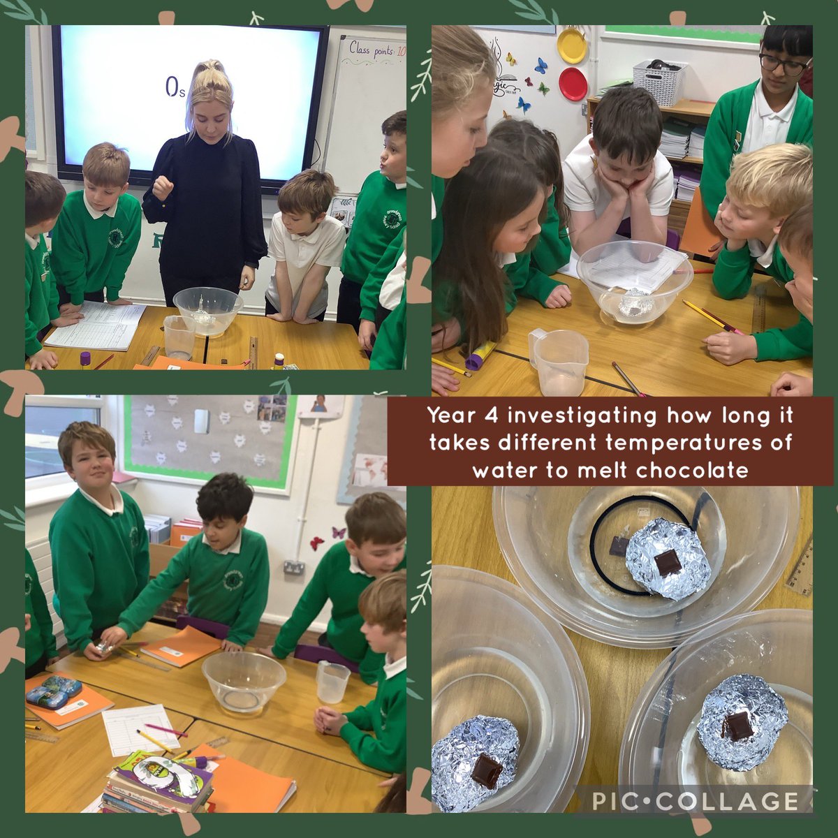 BGPrimary's tweet image. #BGPY4 #BGPScience