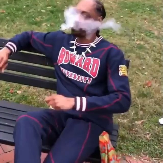 When your mom’s gone for the weekend 😂 <a href="/snoopdogg/">Snoop Dogg</a> ❇️ Tag someone who hits you to smoke one everytime they got open pad.... dlvr.it/Sdt6j4