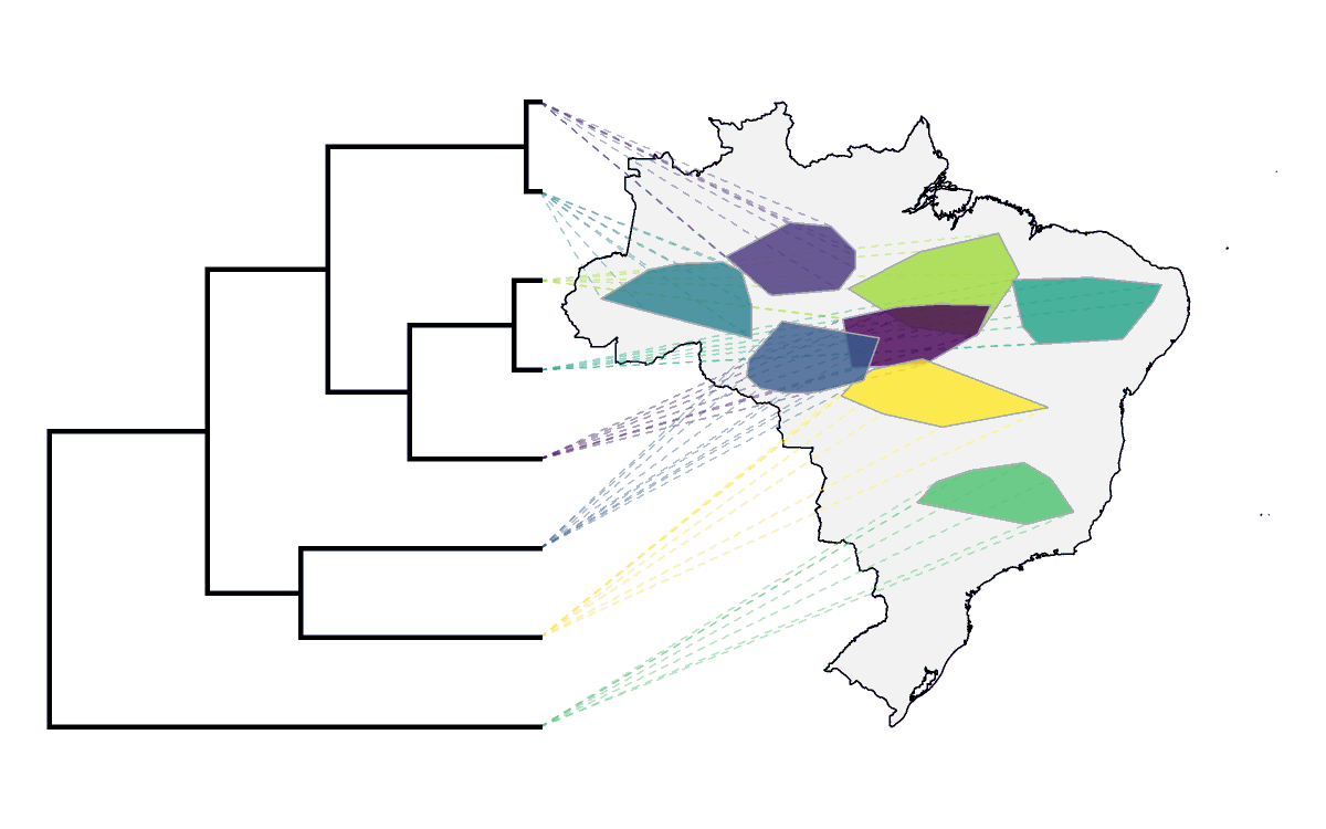 phytools_liam's tweet photo. Did you know... that #Rstats #phytools can be used to project a phylogeny on a map in which species distributions are shown as convex hulls? 

See how via the phytools blog archive: https://t.co/mdXrmBH4II. https://t.co/58bOEvq5s5