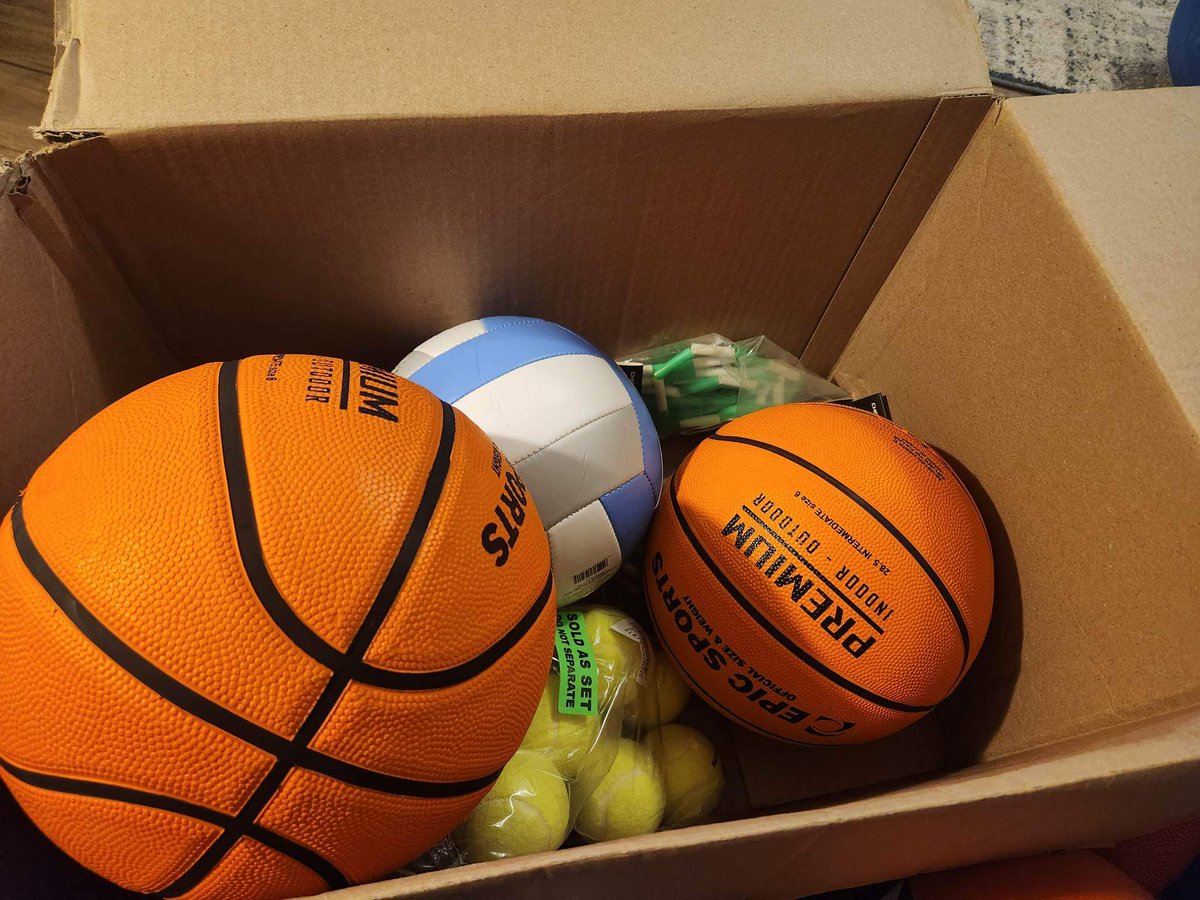 NLBulldogsPTO's tweet photo. Our lovely president has been very busy collecting information from teachers on recess equipment needs, purchasing balls, and even inflating them! Thank you to all who participate in fundraising so we can make recess better for our kiddos! https://t.co/UrKr0rdJDT