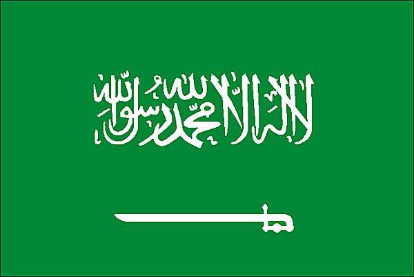 cheveux_jaune's tweet photo. OFFICIEL : Cristiano Ronaldo se retire la nationalité portugaise, à compter d’aujourd’hui cr7 devient Arabie Saouditien. 🇸🇦 https://t.co/DOuoTCcqYE