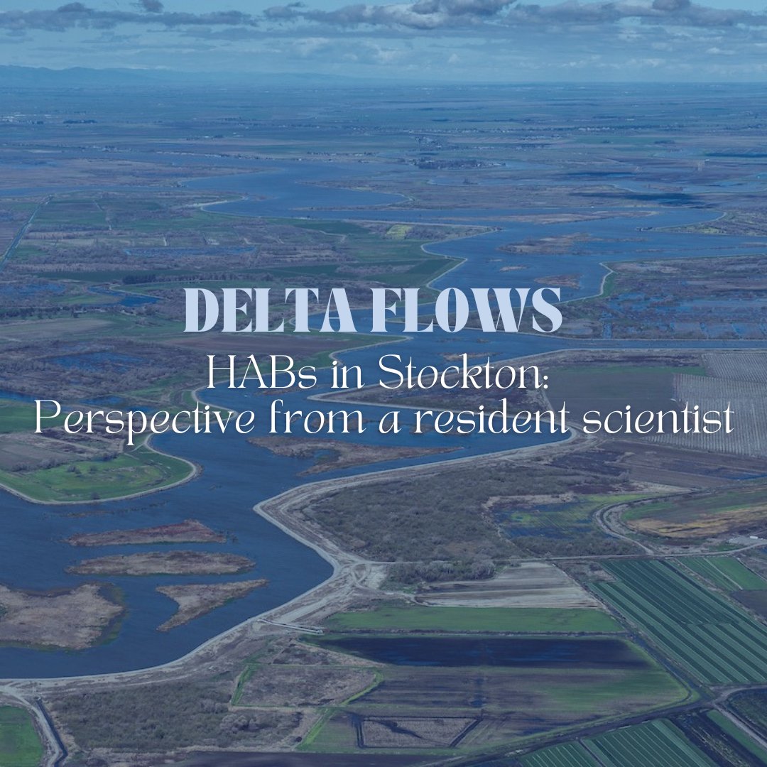 RestoretheDelta's tweet photo. New #DeltaFlows - #HABs in Stockton: Perspective from a resident scientist. As the Science Coordinator for RTD, Spencer Fern runs our HABs monitoring program to help fill in data gaps for government agencies related to Stockton waterways. Read more: https://t.co/ENnKnXCgik https://t.co/sg5pmNnrN5
