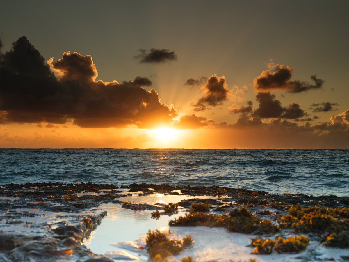 TRIWORKSTUDIOS's tweet photo. Sunrises are the best #sunrise #sunrisephotography @FujifilmX_US #triworks https://t.co/tnReGpltVx