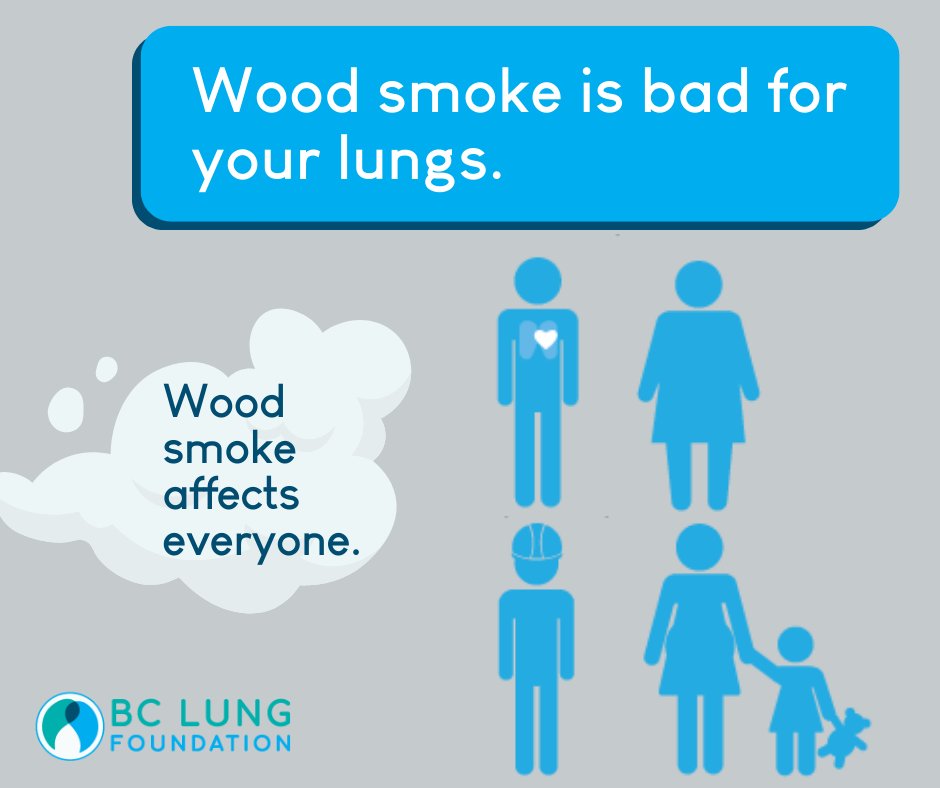 From infants to the elderly, wood smoke is bad for your lungs – heart & head. From headaches to increased risk of heart attack or stroke, wood smoke - in any form - affects infants/children, pregnant people, people living with diabetes, heart and lung conditions & outdoor workers