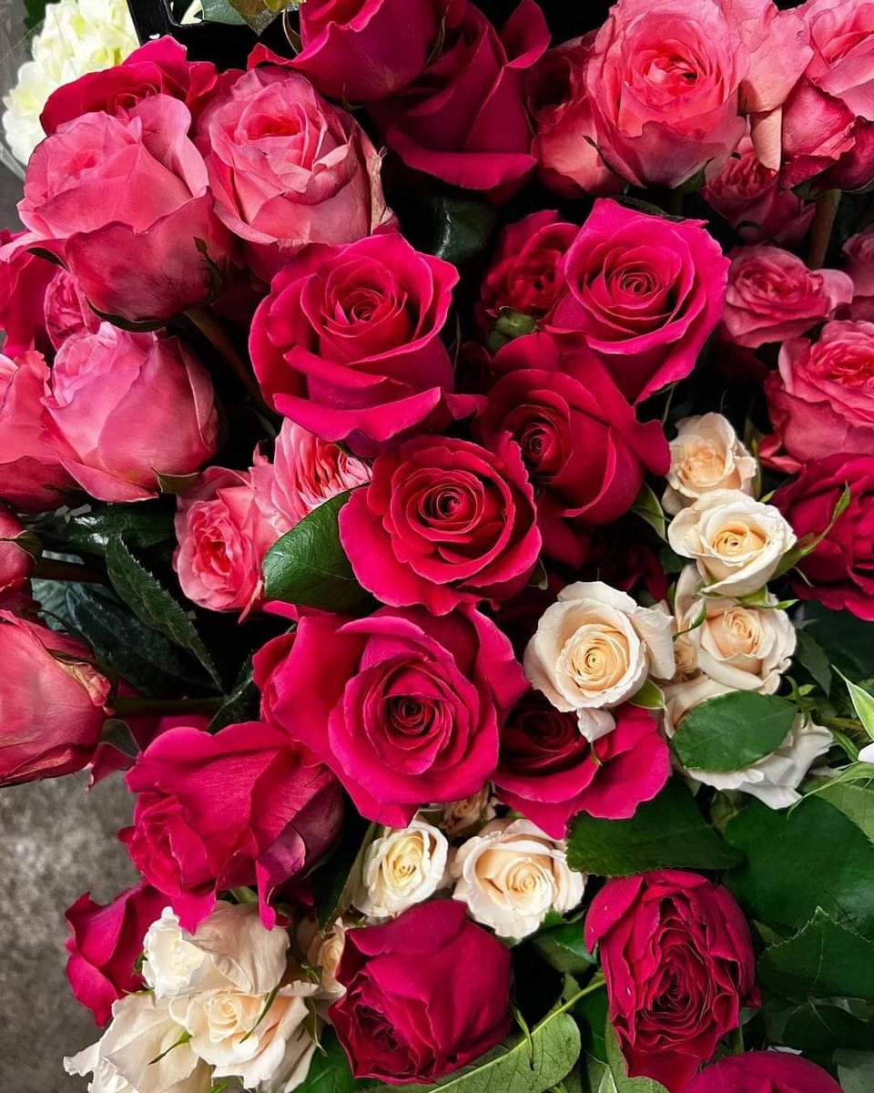 تمام سب دوستوں اور پیارے فالورز کا شکریہ جنہوں نے میری برتھ ڈے کو بہت ہی خاص بنایا اور مجھے اپنی قیمتی دعاؤں اور نیک تمناؤں میں یاد رکھا 
اللہ رب العزت سب کو خوشیاں اور عزت میں اضافہ فرمائے 🥰💐💐
 آمین الہی آمین
نازلی احمد 
  #نازلی