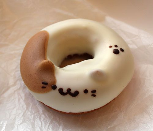 daily_dolce's tweet photo. Cat donuts https://t.co/gDAZLiIagh