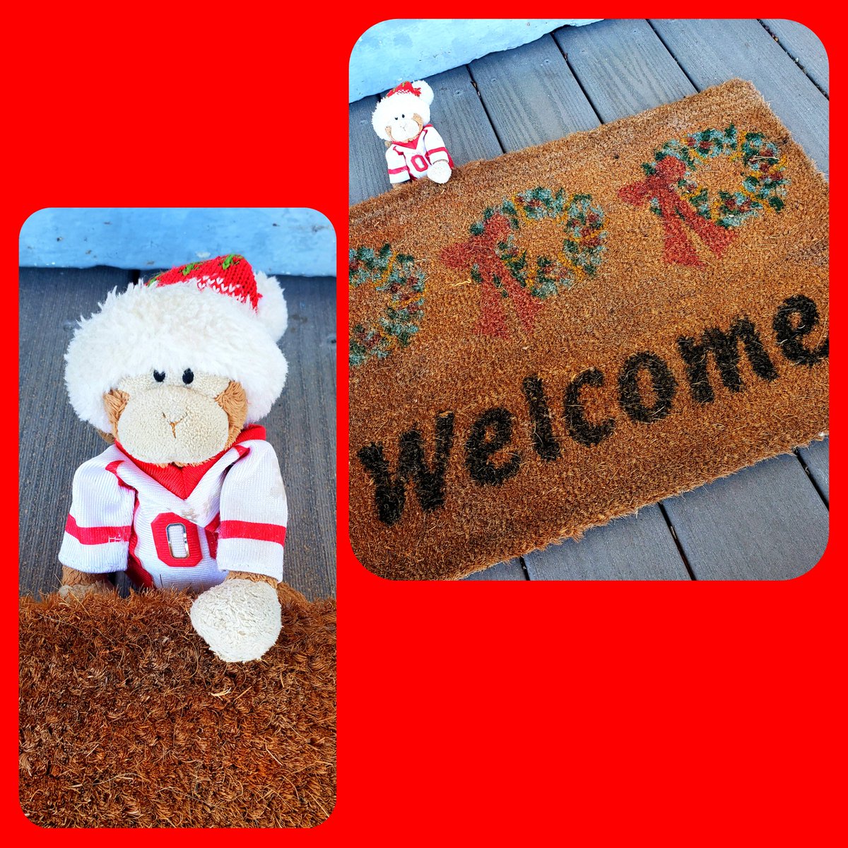 TravelingMocha's tweet photo. Mocha on the Shelf day 5: Setting out ye ol' "Welcome" mat! #MonkeyBusiness 🗓️ 🎄 #MochaOnTheShelf #MochaOnTheShelf2022 #HelpfulMonkey #Christmas #Yule #SeasonsGreetings #Holidays #HappyHolidays #Dec5 #Day5 #Dec05 #Day05 #Welcome https://t.co/EyZWCxVaC8
