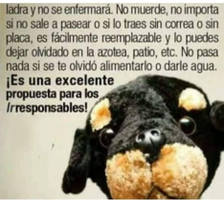 Si adoptas, que sea para toda la vida. #YoAdoptoYSalvoVidas