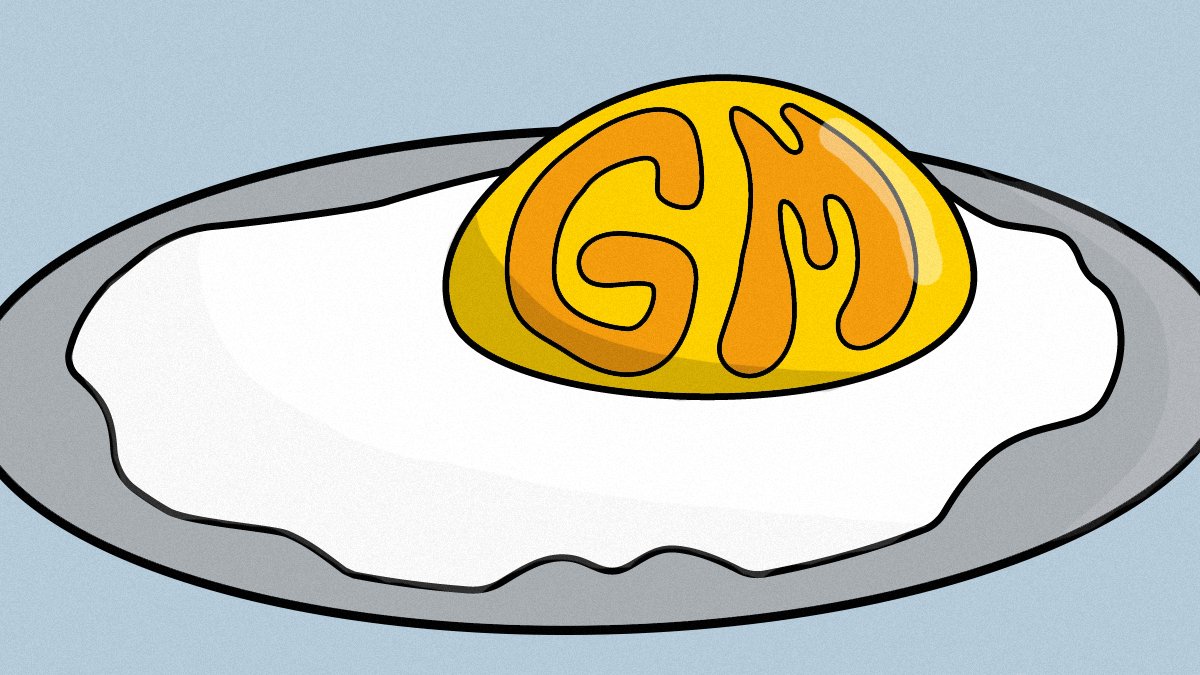 GM YOLKS!!!!

NEW GM DESIGN!!!!

Hope you  have an amazing week... Remember to spread love and happiness🐣😁🎉🌞