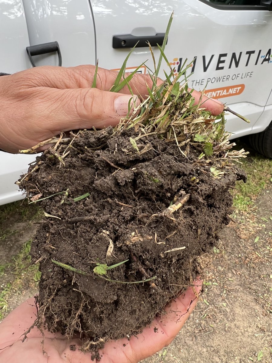 It's #WorldSoilDay!
At #LIVENTIA we know the importance of soil in #agriculture as a non-renewable resource.

Let's keep it together from erosion and degradation, and keep its microscopic life that lies beneath our feet for a more sustainable production.
#ILIVIT