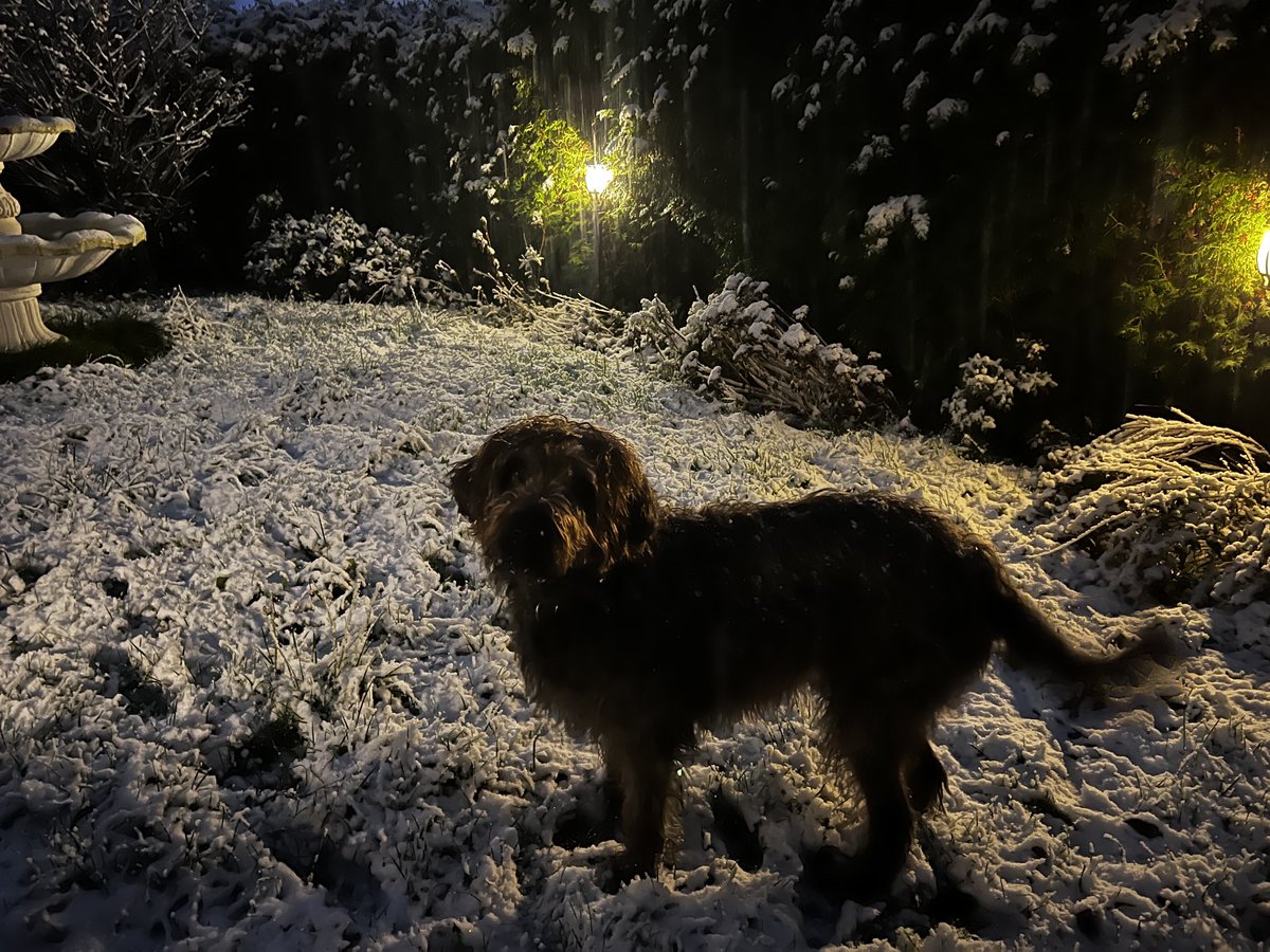 Von draußen vom Walde komm ich her und ich muss euch sagen 

BEI DREI IST DER SCHEIß SCHNEE HIER WEG!🐾
