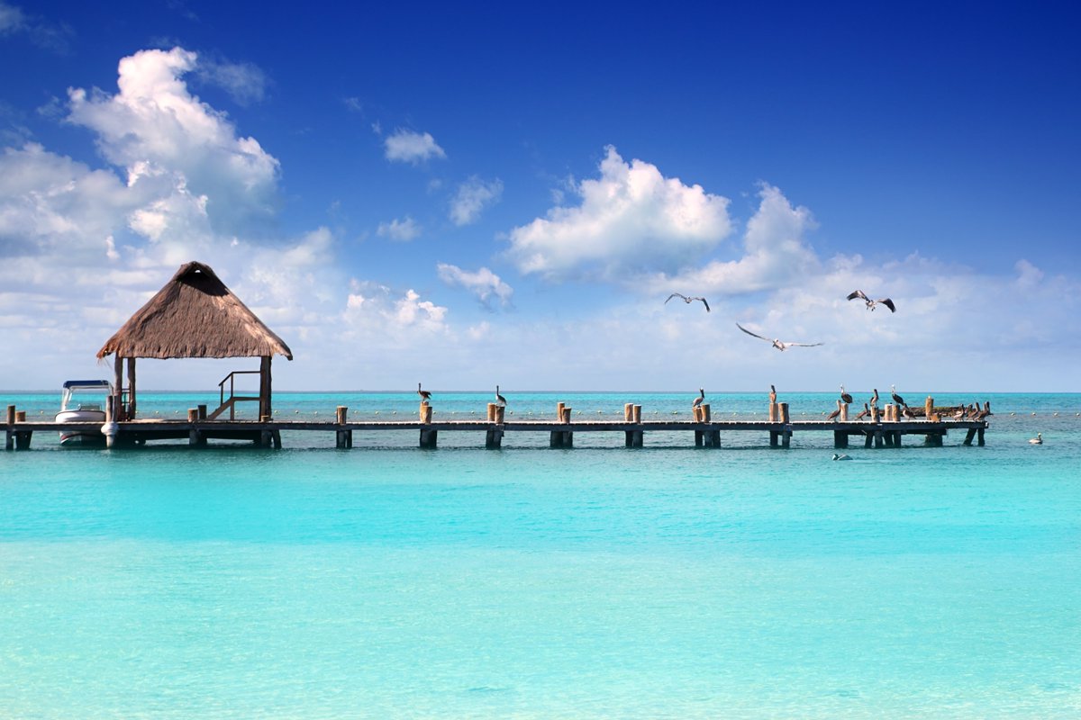 Estas son 𝘁𝗿𝗲𝘀 𝗶𝘀𝗹𝗮𝘀 𝗽𝗮𝗿𝗮𝗱𝗶𝘀𝗶́𝗮𝗰𝗮𝘀 al norte de #Cancún que podrás descubrir en tus próximas vacaciones. ¿Cuál visitarás primero? 🏝️ 💙 🔁 = @IslaMujeres_Mx 💓 = @VisitHolbox_Mx 💬 = #IslaContoy #CaribeMexicano