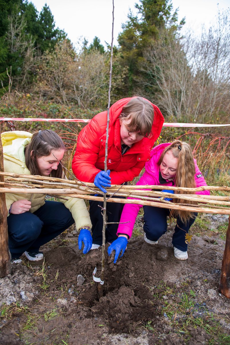 As part of the 'Orchards in the Community' initiative, we donated 10 orchards to <a href="/CollegeMerlin/">Merlin College</a> in Galway. The initiative, driven by <a href="/hostinireland/">Host In Ireland</a>, aims to plant 3,000 trees to improve bee health and enhance pollination.
#DCsforBees #environment #sustainability #biodiversity