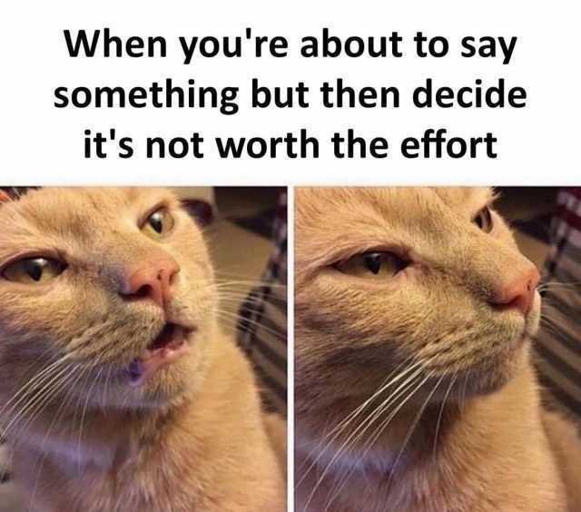 CryptoTony__'s tweet photo. I can’t be the only one to get this a lot on Twitter when stumbling across a few charts  and comments 🤣 https://t.co/aIoHIA4VMx