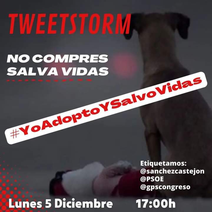 POCAHONTAS VEGANA💚 tweet media