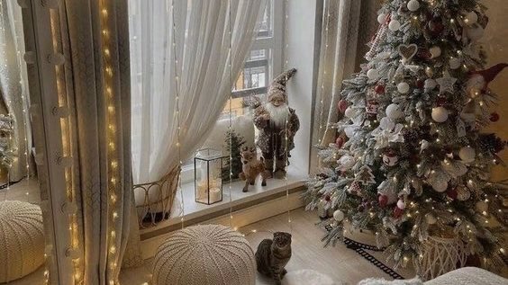 malusokay's tweet photo. Calm and cozy December days ✨ https://t.co/PH4WEkQyLG