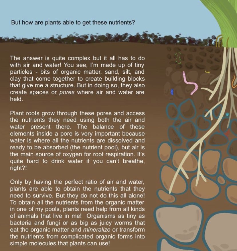 It is 5th December, when we celebrate the live-giving substance beneath our feet.