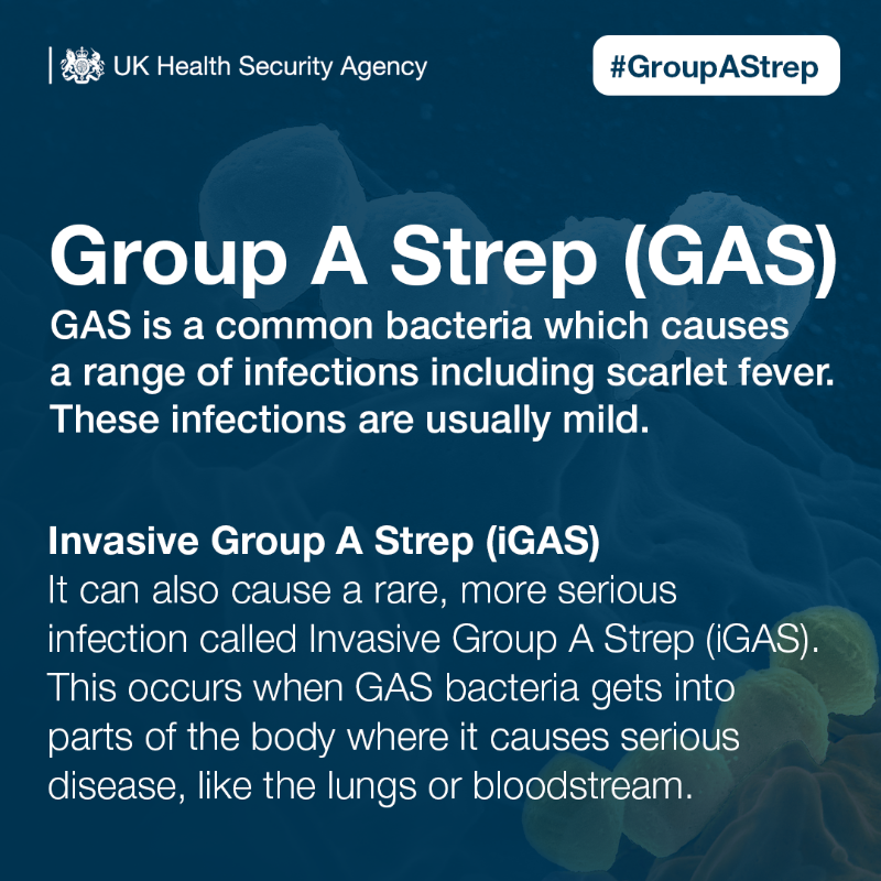 UKHSA's tweet photo. #GroupAStrep

Here's what you need to know about Group A Strep and what to look out for. Parents should trust their own judgement when their child is poorly.

Read our blog for more info 🔽