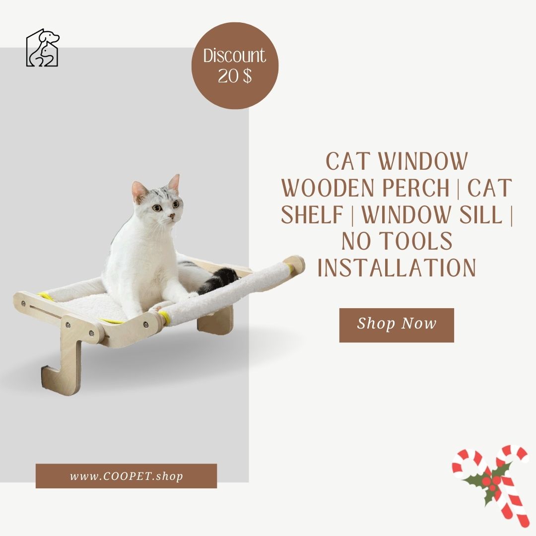 pet_coopet's tweet photo. Looking for a place for your cat to enjoy the outdoors without having to worry about them getting out of the house? Check out our Cat Window Wooden Perch! It's easy to install and provides a safe and comfortable spot for your cat to relax.

#catbed #catbeds #catbedits #catbedroom https://t.co/FbWgY9cqrE